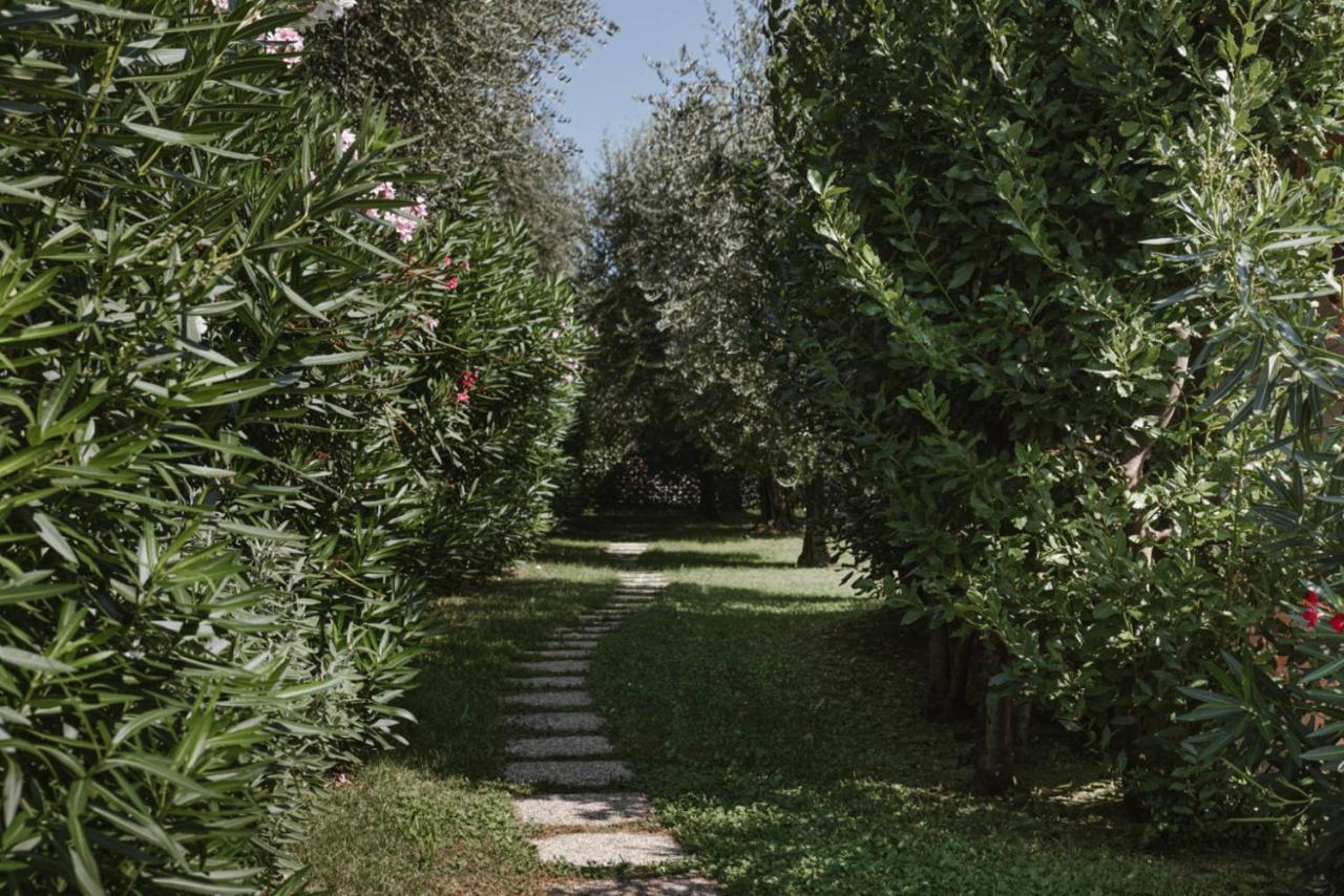 App. Mimosa Minerva Holiday Home Manerba del Garda Exteriér fotografie